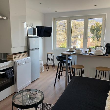 Le Cocon Appartement Guebwiller Buitenkant foto