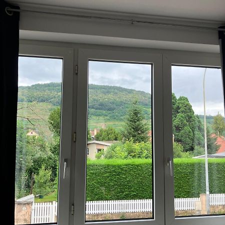 Le Cocon Appartement Guebwiller Buitenkant foto
