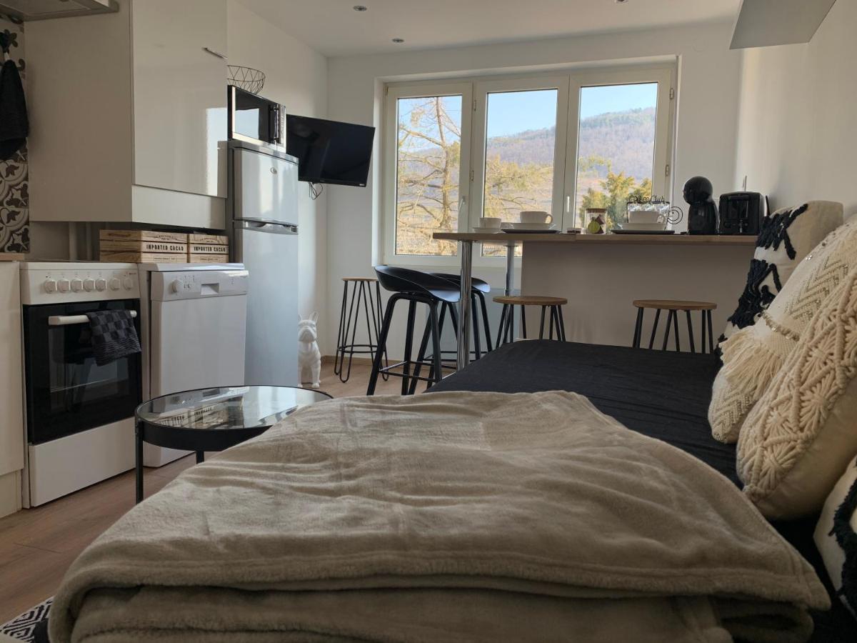 Le Cocon Appartement Guebwiller Buitenkant foto